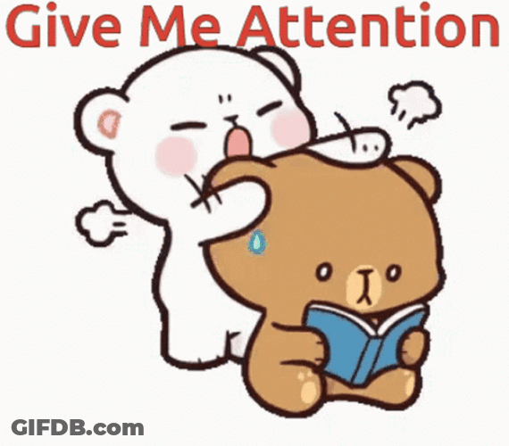 Milk And Mocha Give Me Attention GIF