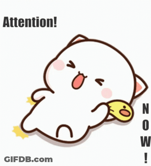 Milk Bear Wants Attention Now GIF