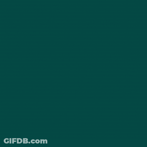 Milk White Cows GIF