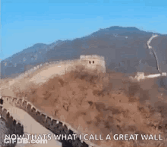 Milly Rock Dance Goes To Great Wall GIF