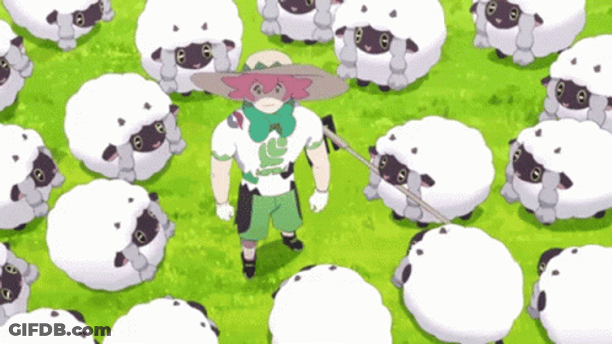 Milo Is In The Farm With Many Wooloo GIF
