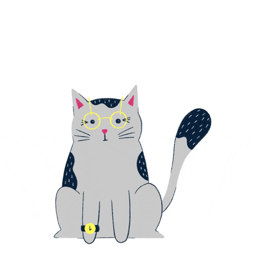 Mind Blown Cute Cat GIF