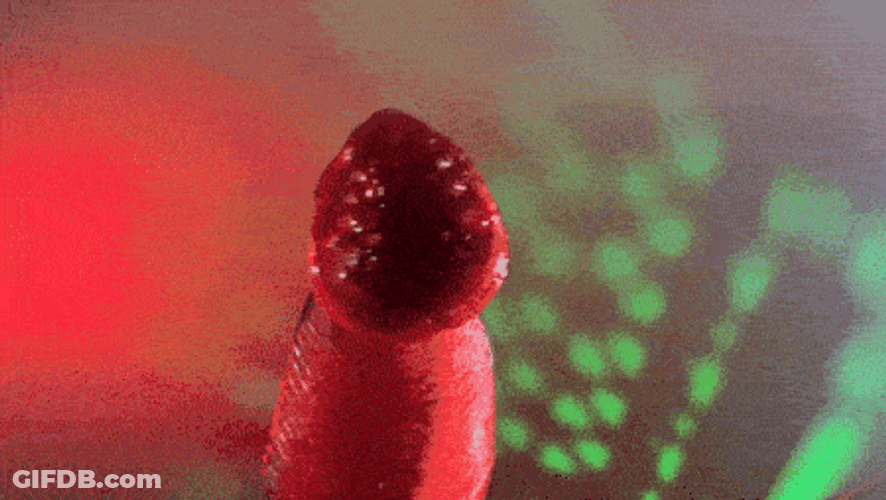 Mind Leech Worm GIF