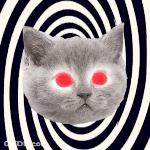 Mind Reader Cat Hypnotic Laser Eyes GIF