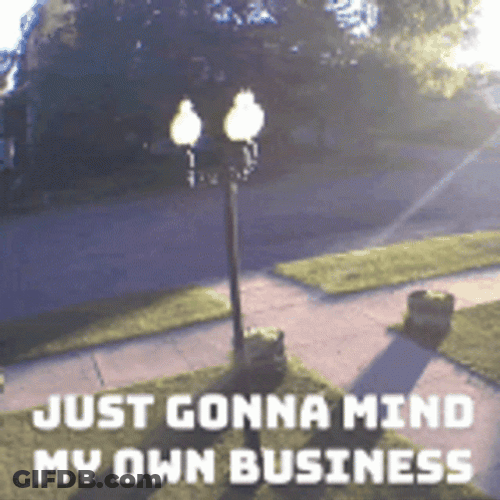 Minding My Business Park Stroll GIF