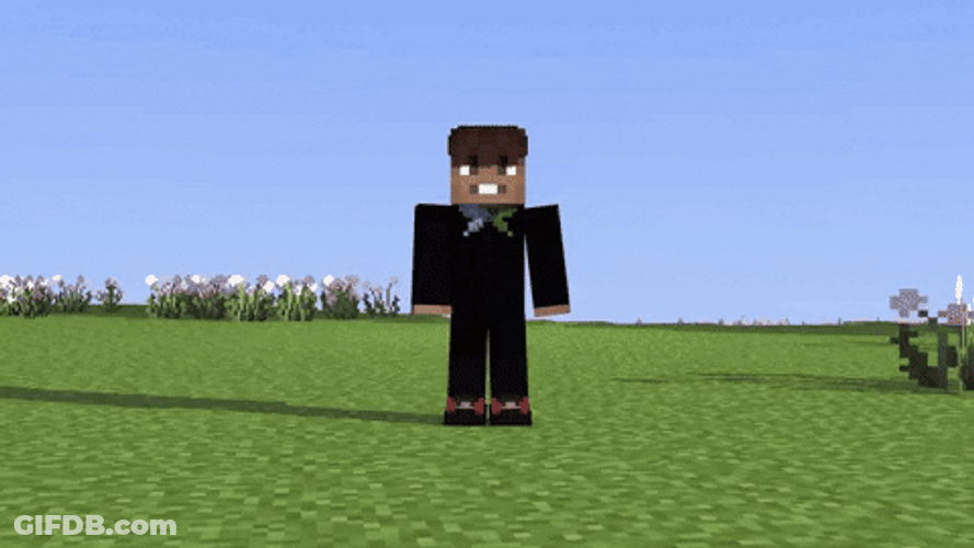 Minecraft Axolotl Into The Garden GIF