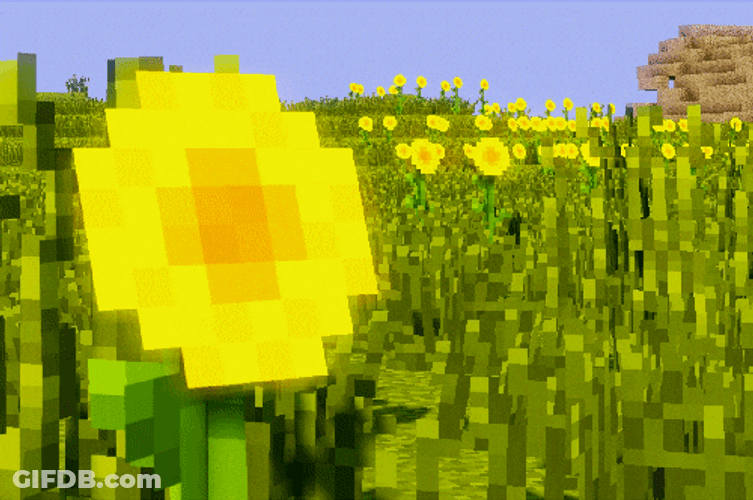 Minecraft Axolotl Yellow Flower GIF