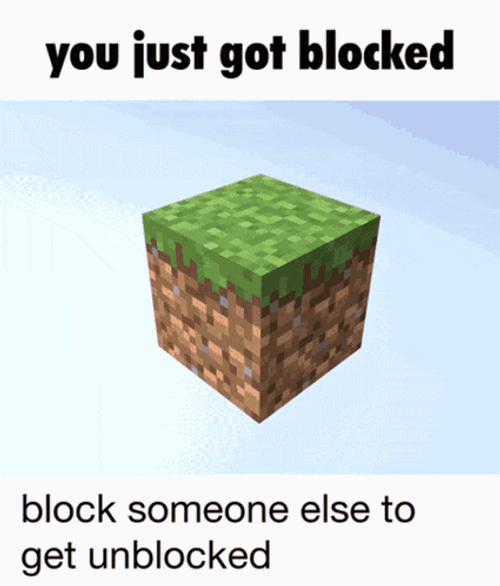 Minecraft Blocked GIF