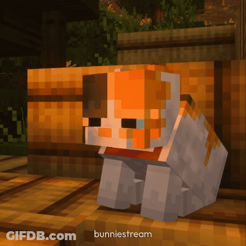 Minecraft Cat Bunnystream GIF