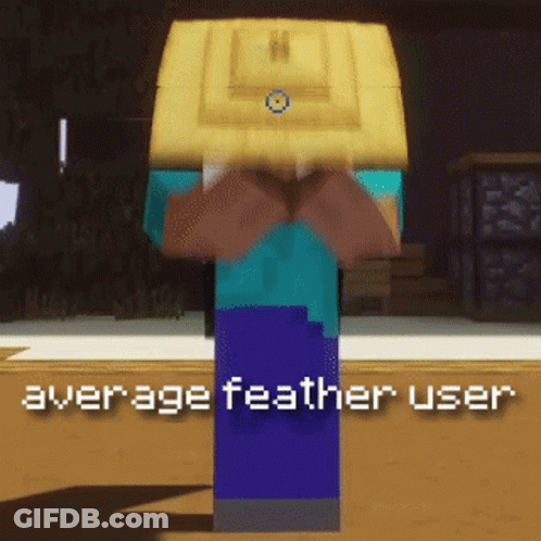 Minecraft Character Average Feather User GIF