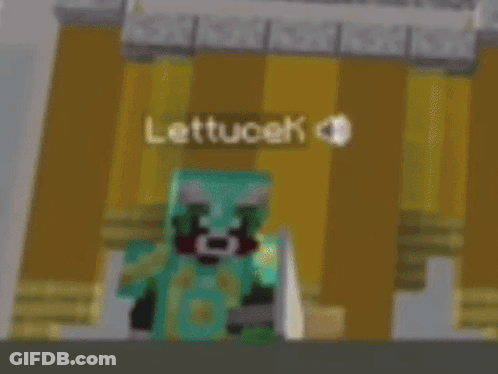 Minecraft Character Next To Sign Who Is This Kid Lettucek GIF