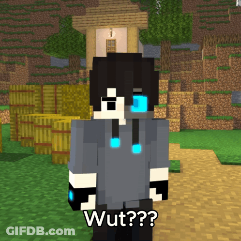 Minecraft Character Saying Wut In Front Of House GIF