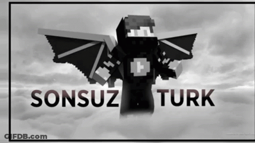 Minecraft Character Sonsuz Turk GIF