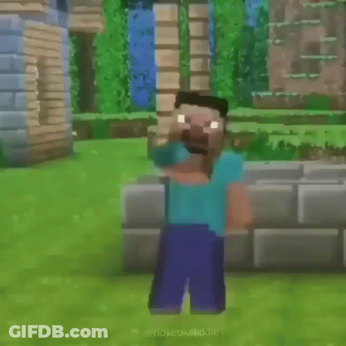 Minecraft Character Standing In Front Of A Block GIF