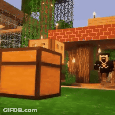 Minecraft Character Standing Next To Wooden Chest GIF