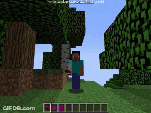 Minecraft Hello Www.bandicam.com World GIF