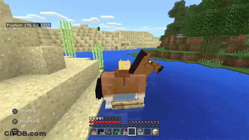 Minecraft Horse In Water With Cat On Back GIF