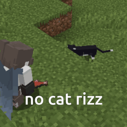 Minecraft Meme No Cat Rizz GIF