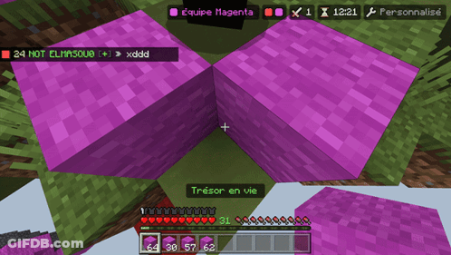 Minecraft Purple Blocks Equipe Magenta GIF