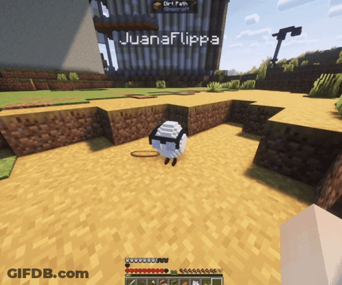 Minecraft Screenshot Juanaflippa GIF