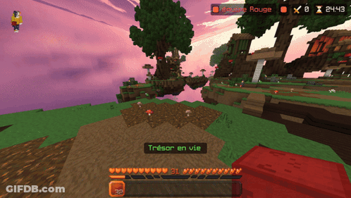 Minecraft Treasure En Vie GIF
