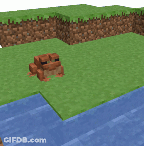 Minecraft Tropical Frog GIF