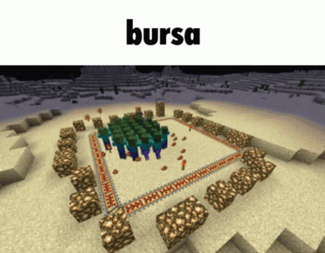 Minecraft Villager Bursa GIF