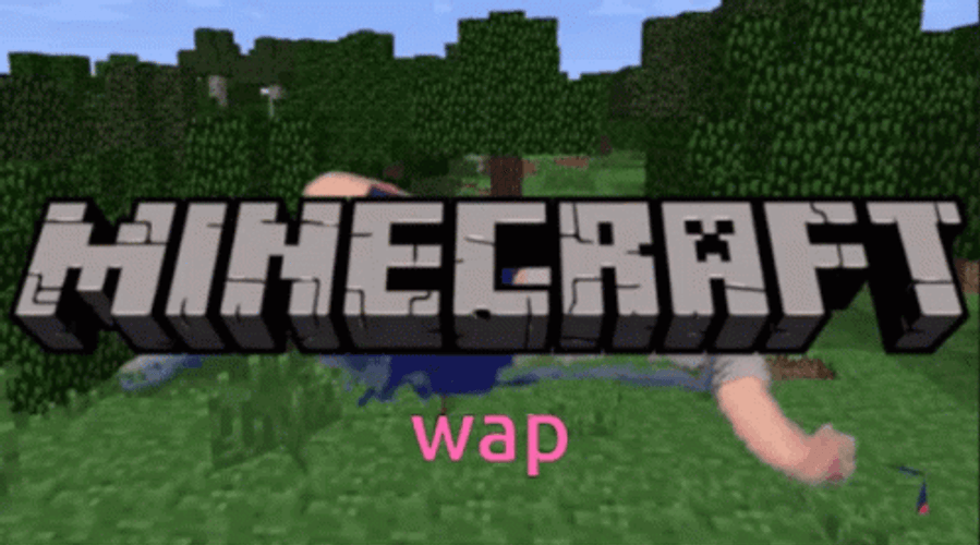 Minecraft Wap Dance GIF