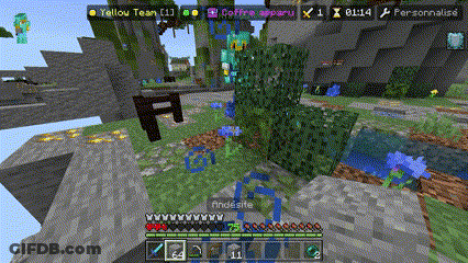Minecraft Yellow Team Screenshot GIF