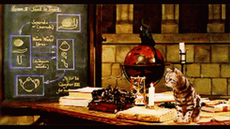 Minerva McGonagall Cat Transformation Harry Potter GIF