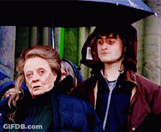 Minerva McGonagall Harry Potter Movie Scene GIF