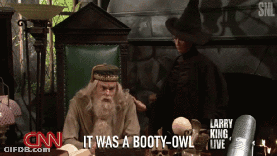 Minerva McGonagall Professor Dumbledore SNL Parody GIF