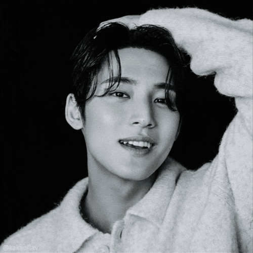 Mingyu Waduh GIF