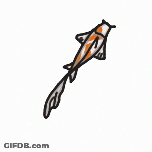 Minimalist Alone Koi Fish Art GIF