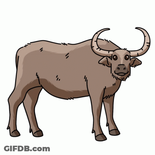 Minimalist Buffalo Art Nodding GIF