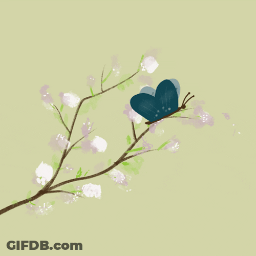 Minimalist Butterfly Tree Branch GIF