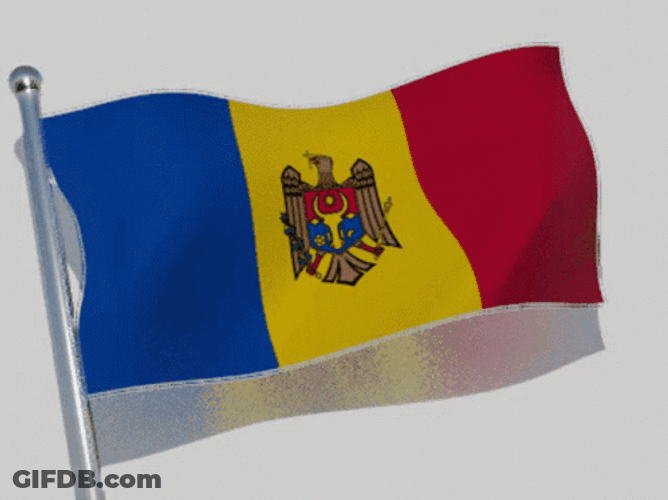 Minimalist Moldova National Flag GIF