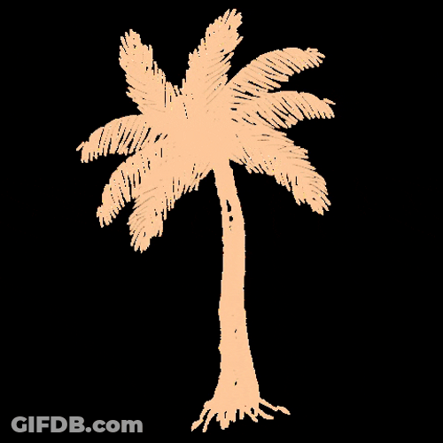 Minimalist Palm Tree Swinging Sideways GIF
