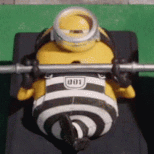Minion Bench Press Day GIF
