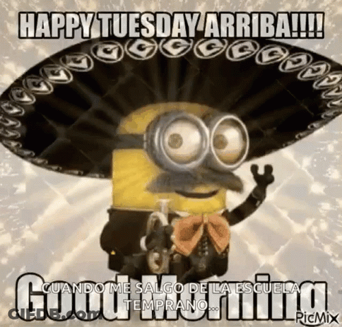 Minion In Sombrero And Sunglasses GIF