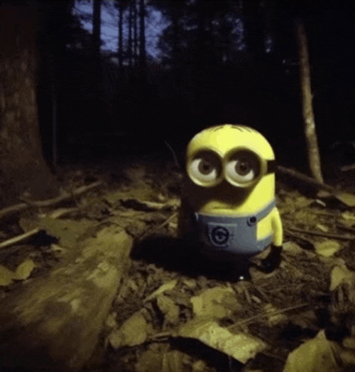 Minion Stare Meme GIF