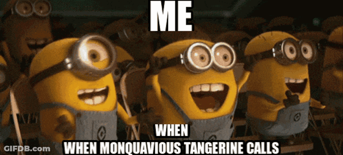 Minions Despicable Me GIF