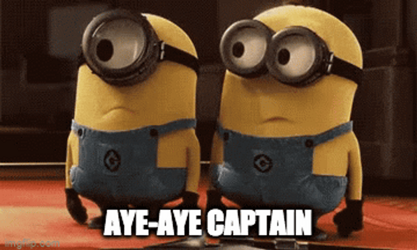 Minions Saying Aye Aye Captain GIF