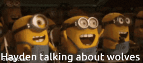 Minions Smiling With Text Hayden Talking About Wolves GIF