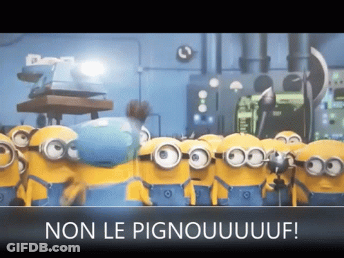 Minions Standing With Caption Non Le Pignouuuuf GIF