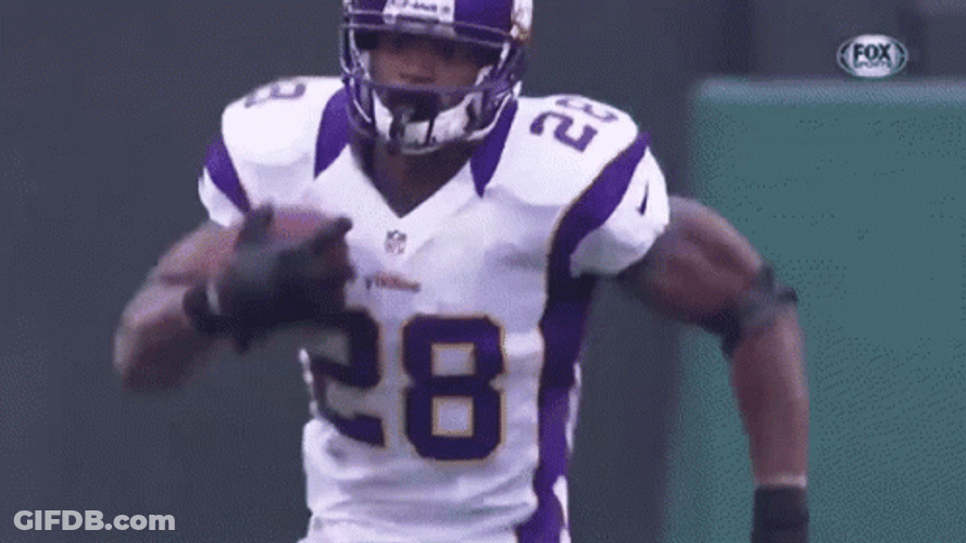 Minnesota Vikings Football Game GIF