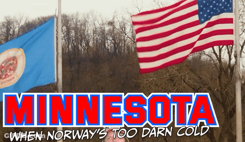 Minnesota When Norway's Too Darn Cold Poster GIF