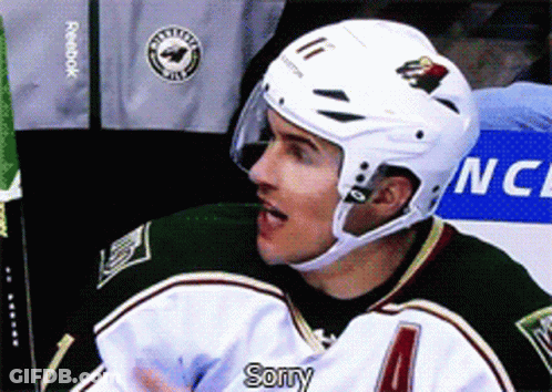 Minnesota Wild Sorry GIF