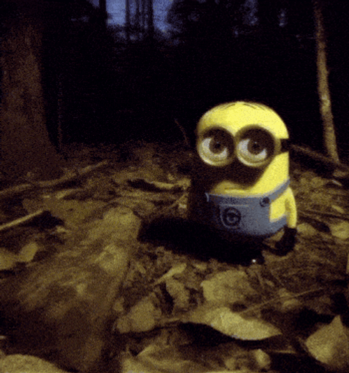 Minon GIF