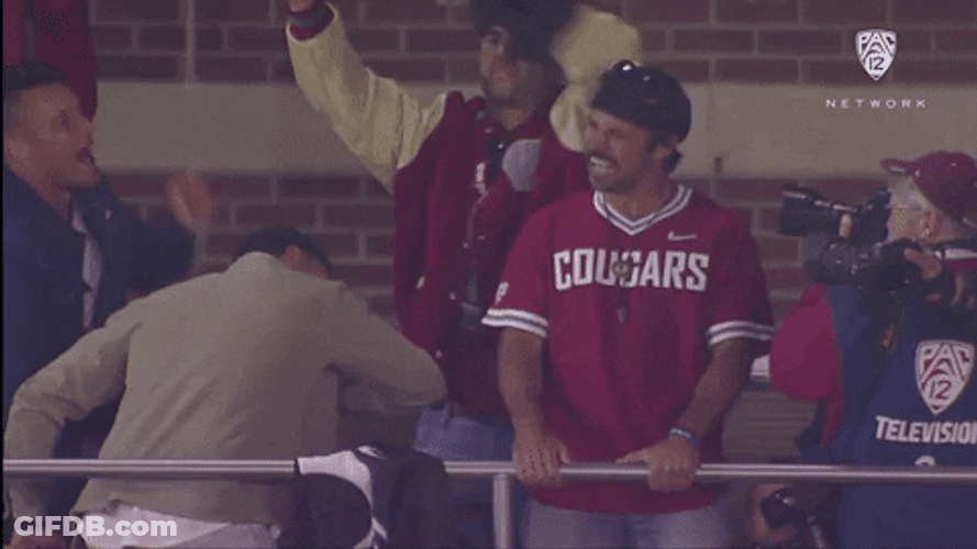 Minshew As An Audience GIF